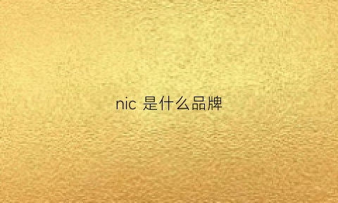 nic是什么品牌(vsonic是什么品牌)